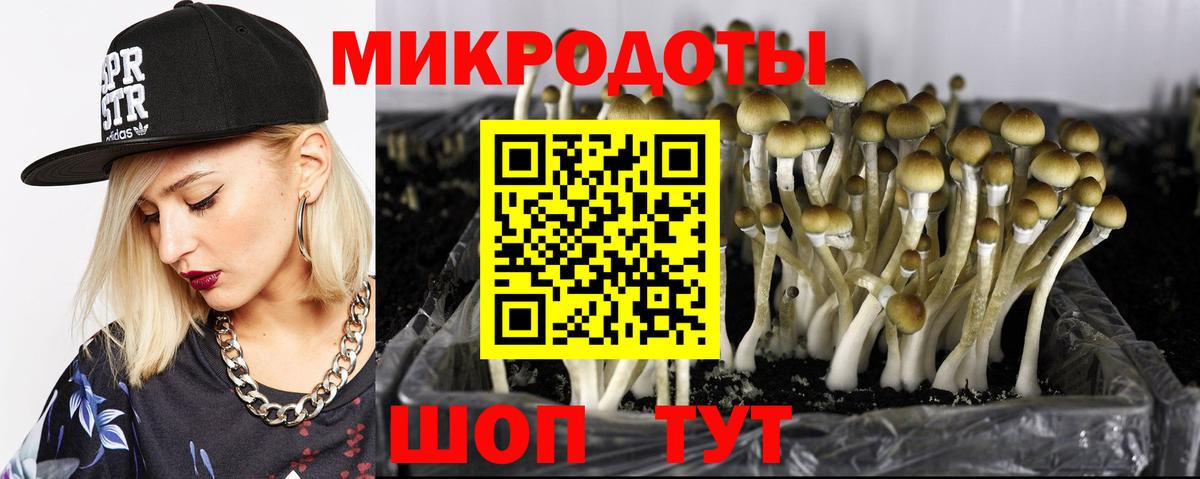Галлюциногенные грибы мицелий Глазов