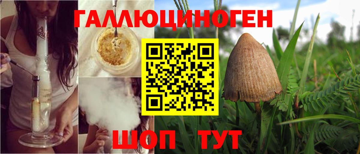 где найти   Вход с VPN  Глазов  Галлюциногенные грибы мицелий 